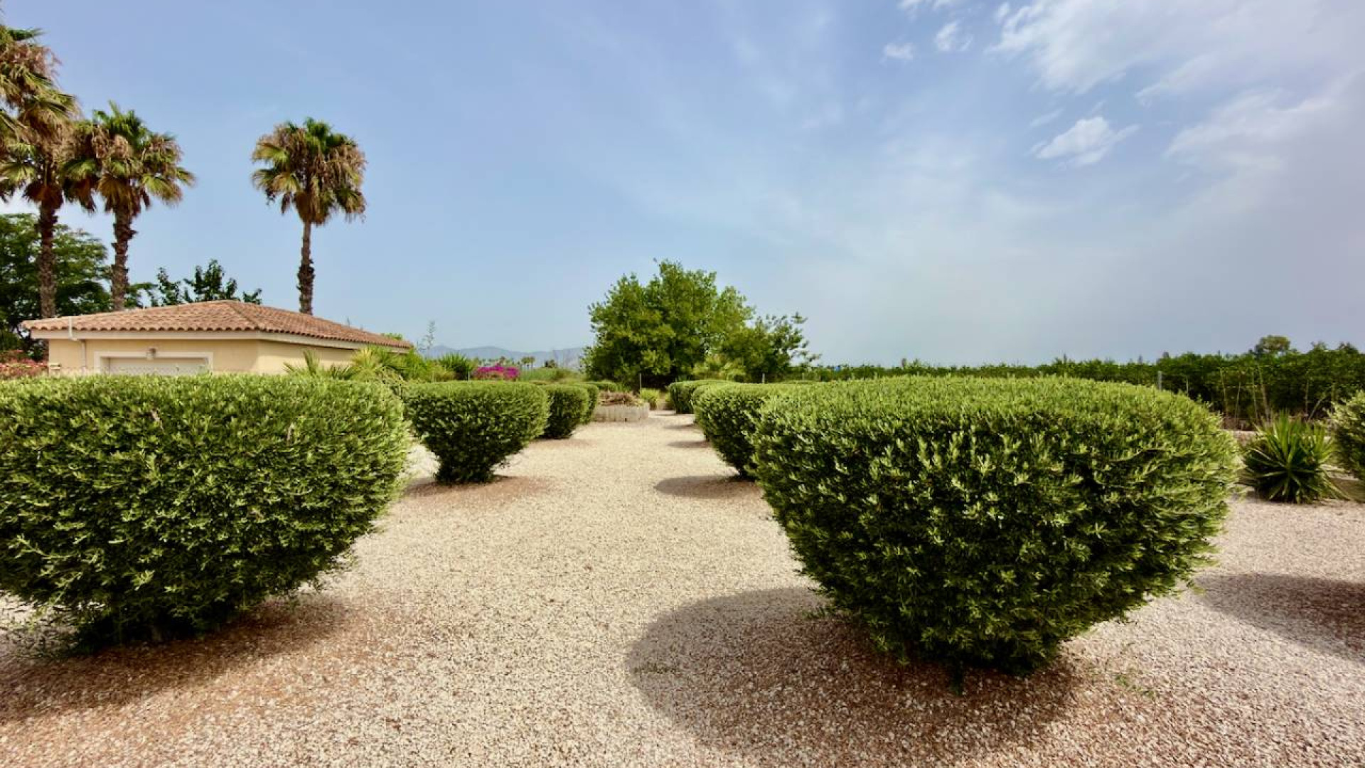 Venta - Country Property - Catral