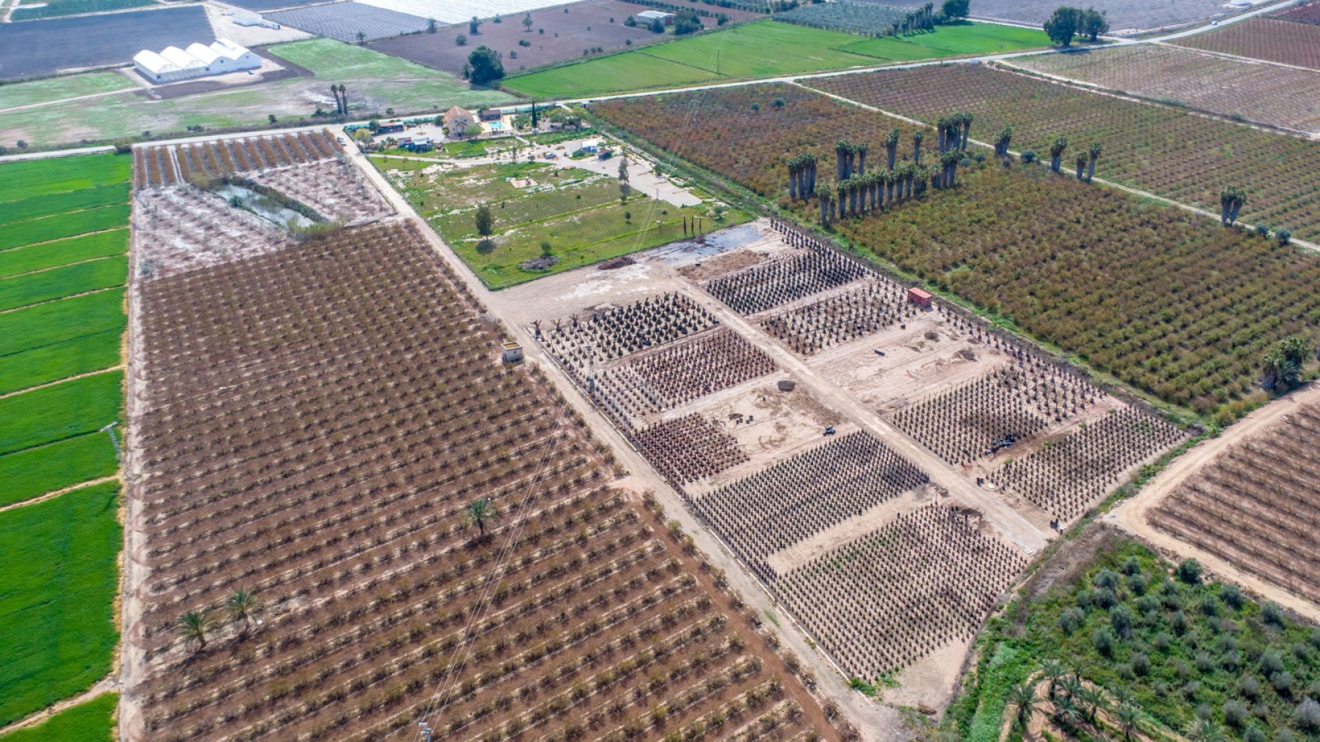 Venta - Country Property - Crevillente