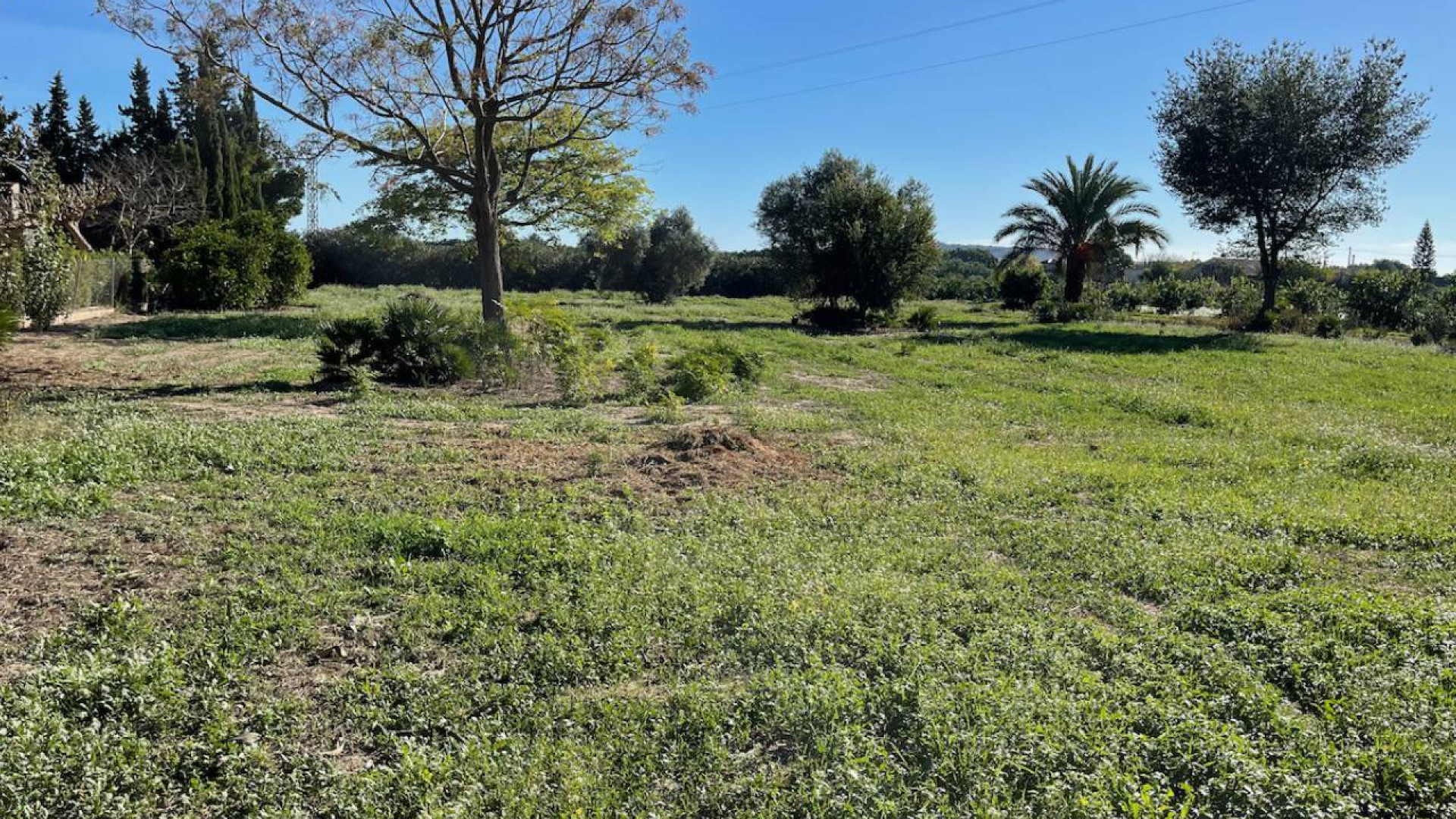 Venta - Country Property - Daya Vieja