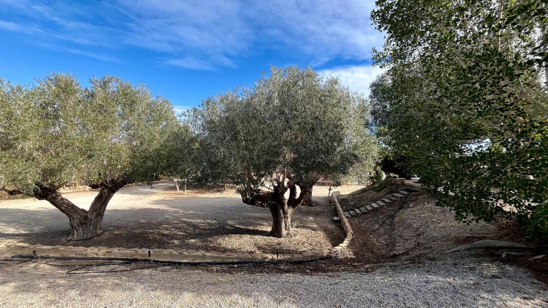 Venta - Country Property - El Esparragal