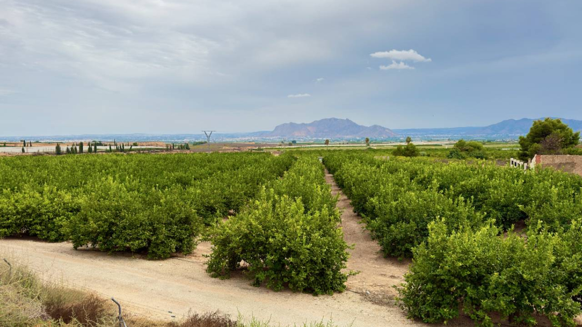 Venta - Country Property - La Murada