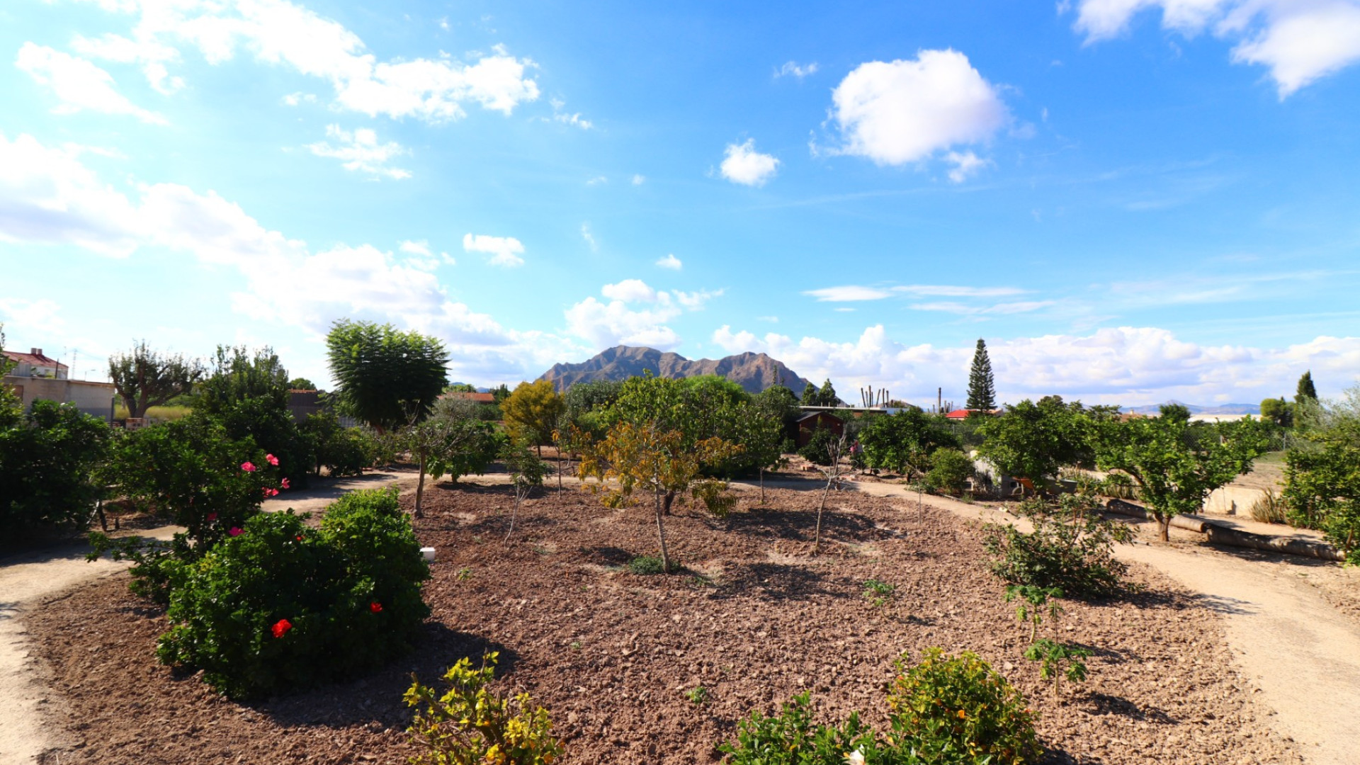 Venta - Country Property - Rafal - El Mudamiento