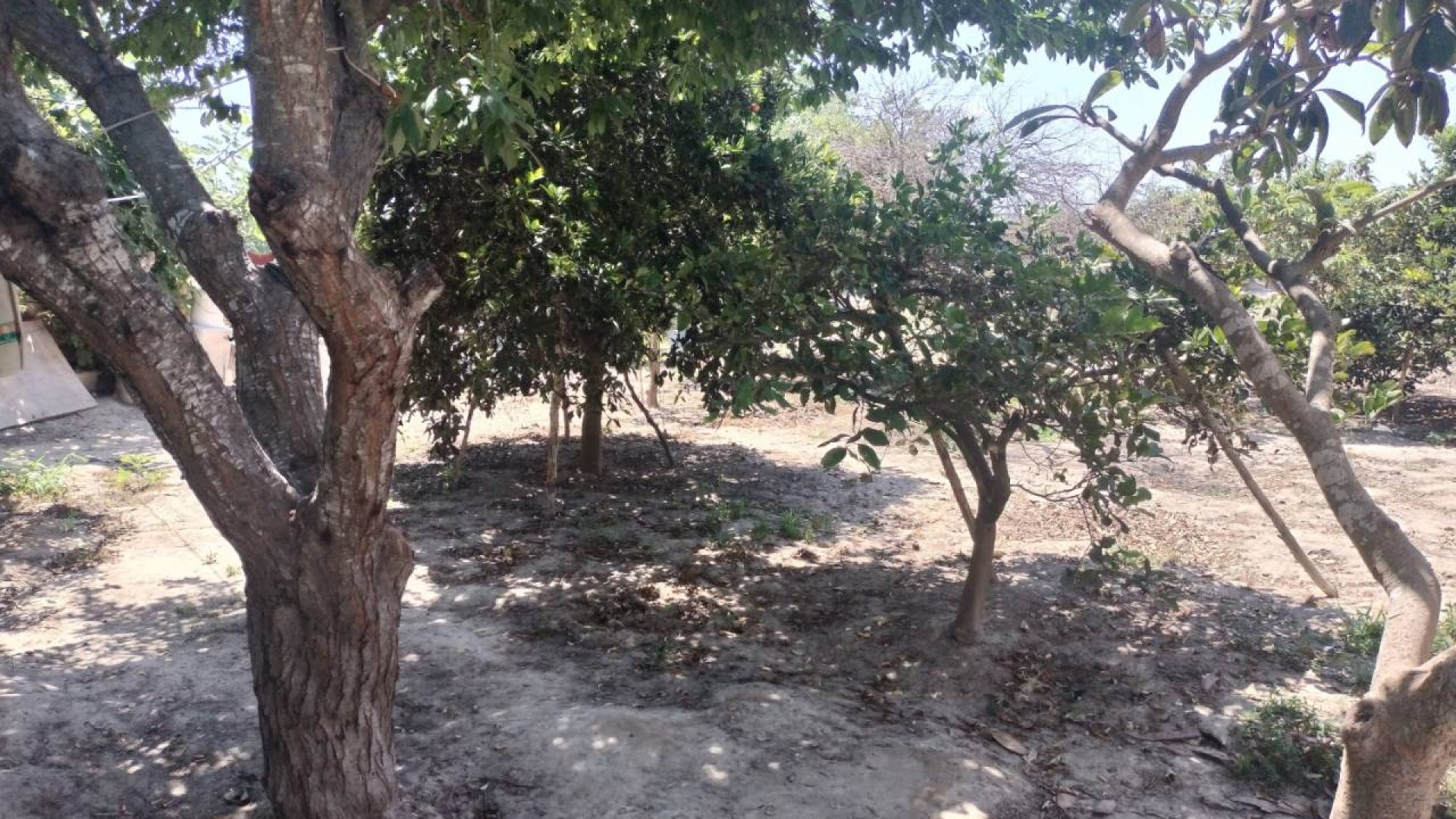 Venta - Country Property - Rojales - Cuidad Quesada