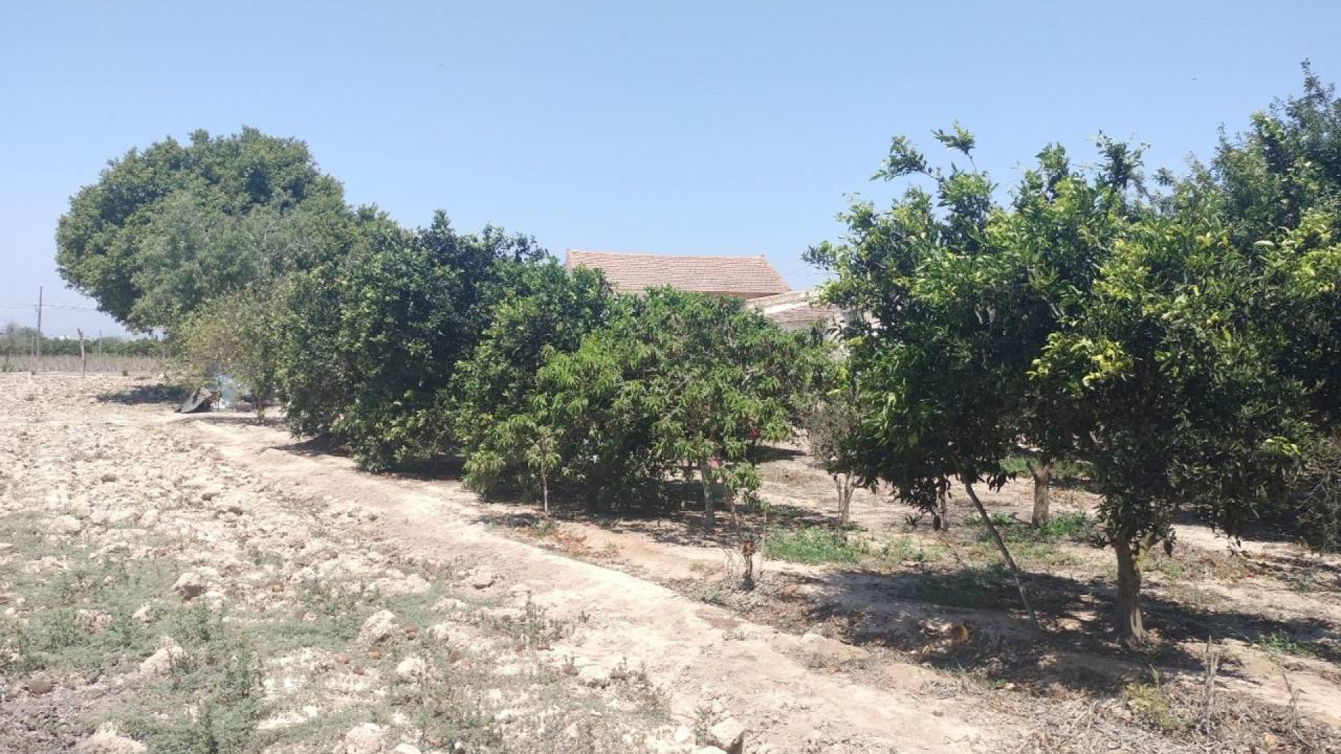 Venta - Country Property - Rojales - Cuidad Quesada