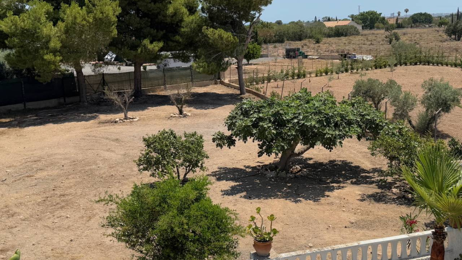 Venta - Country Property - Torrellano