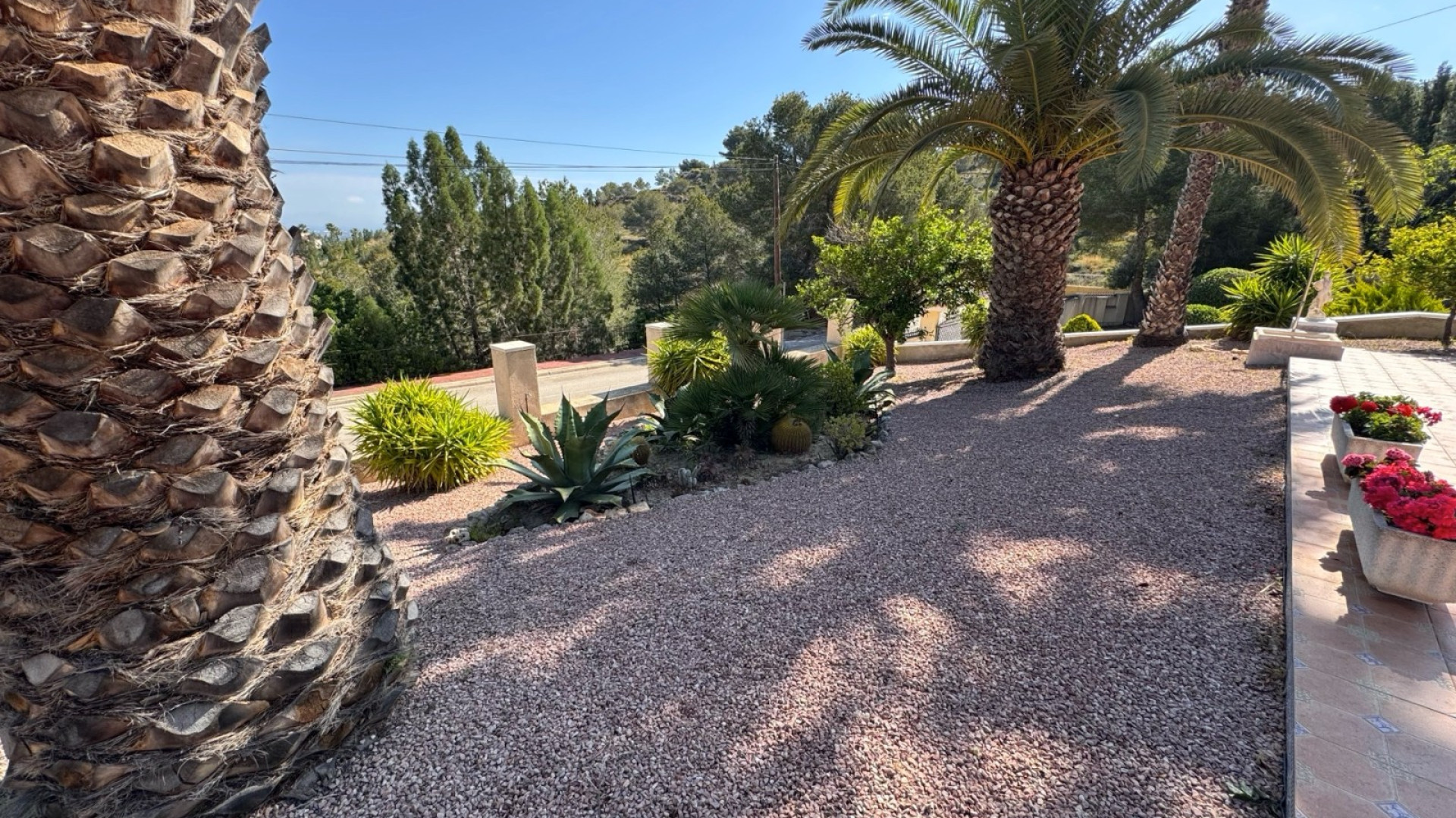 Venta - Detached Villa - Algorfa - Lomas de La Juliana