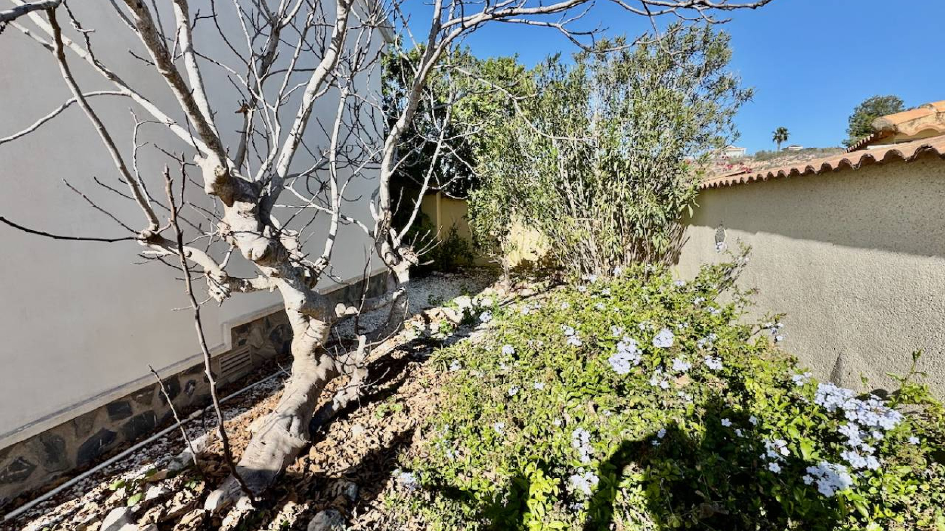 Venta - Detached Villa - Ciudad Quesada - Lo Pepin