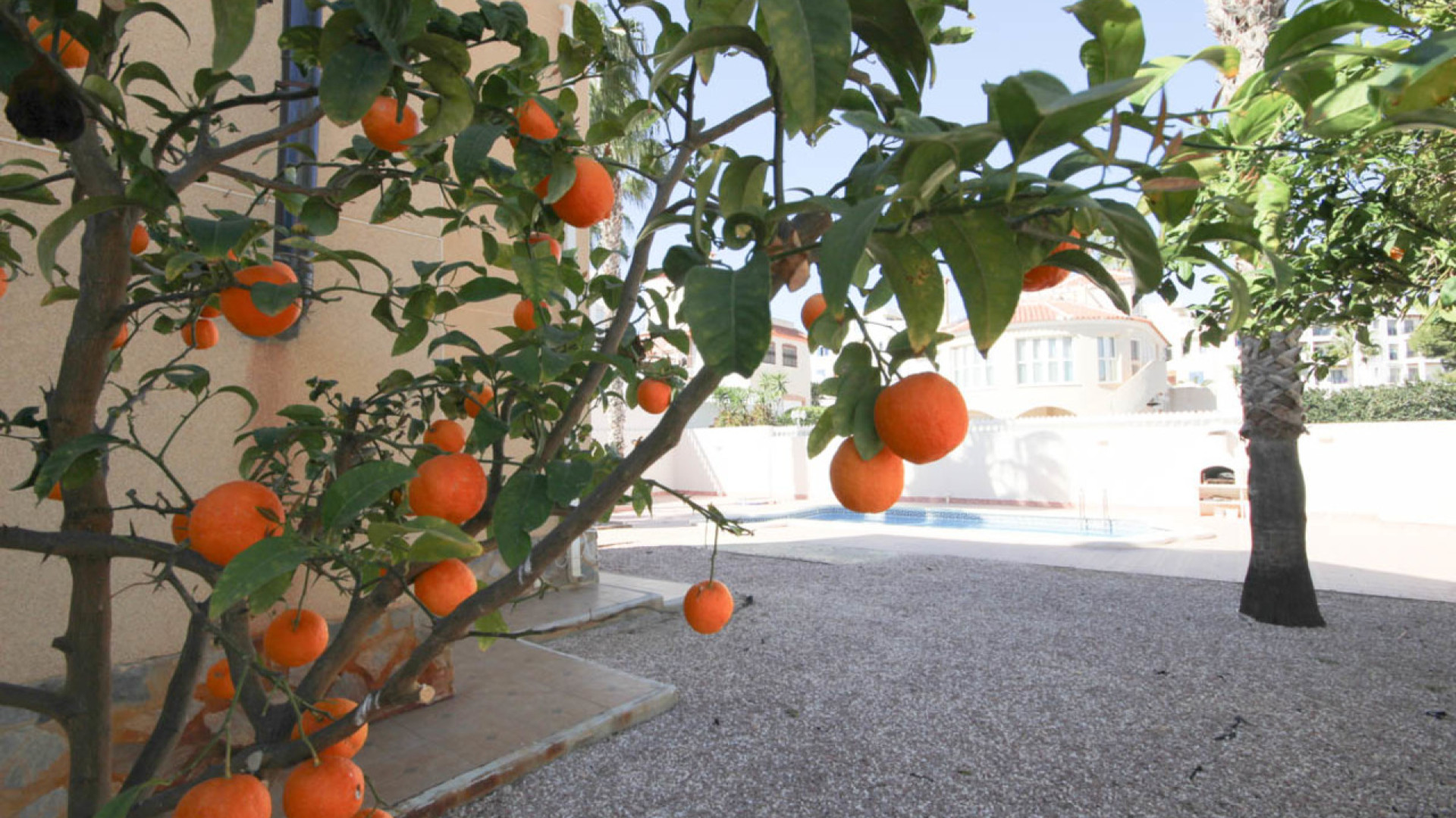 Venta - Detached Villa - La Zenia