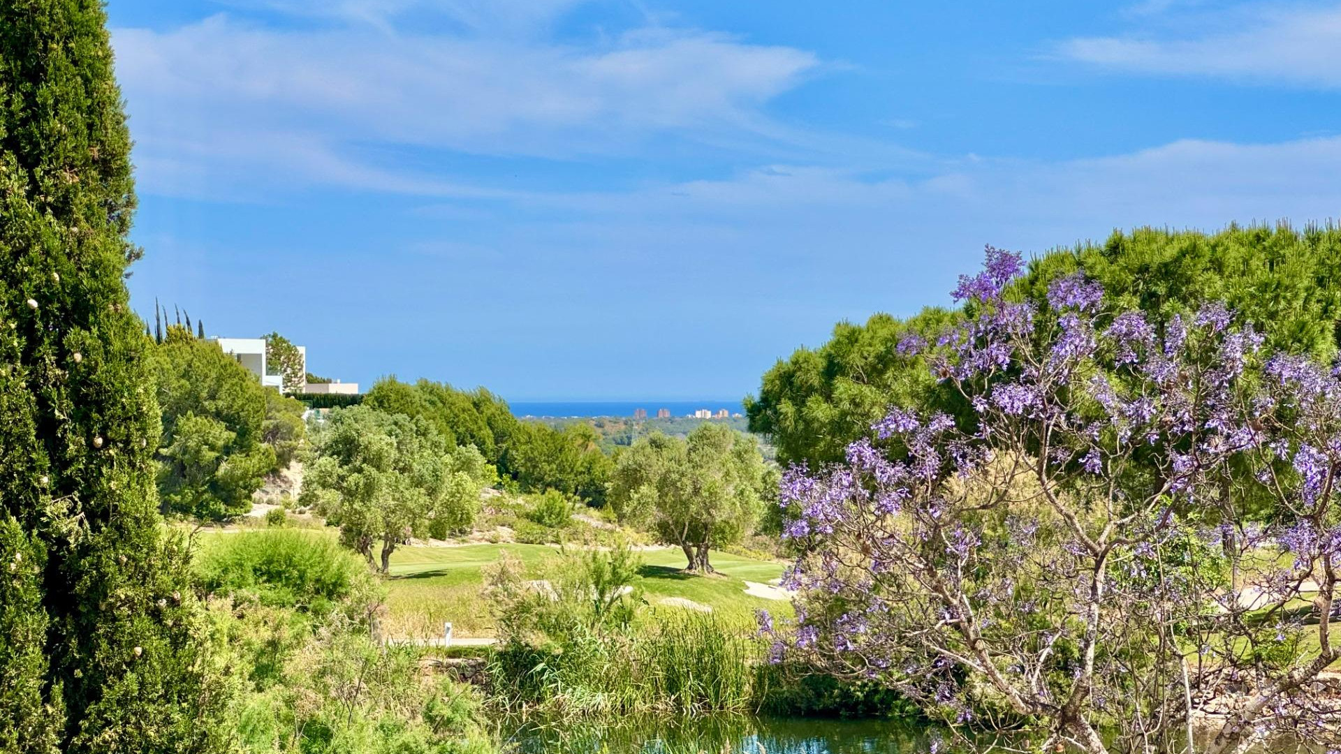 Venta - Detached Villa - Orihuela - Las Colinas Golf