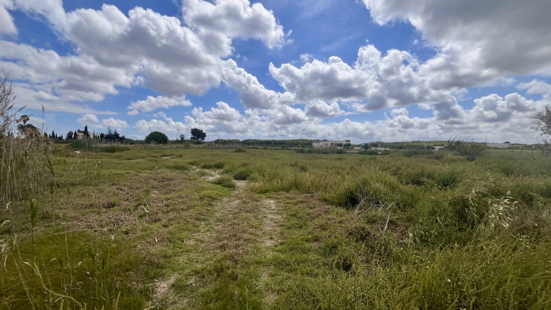 Venta - Parcela / Terreno - Catral