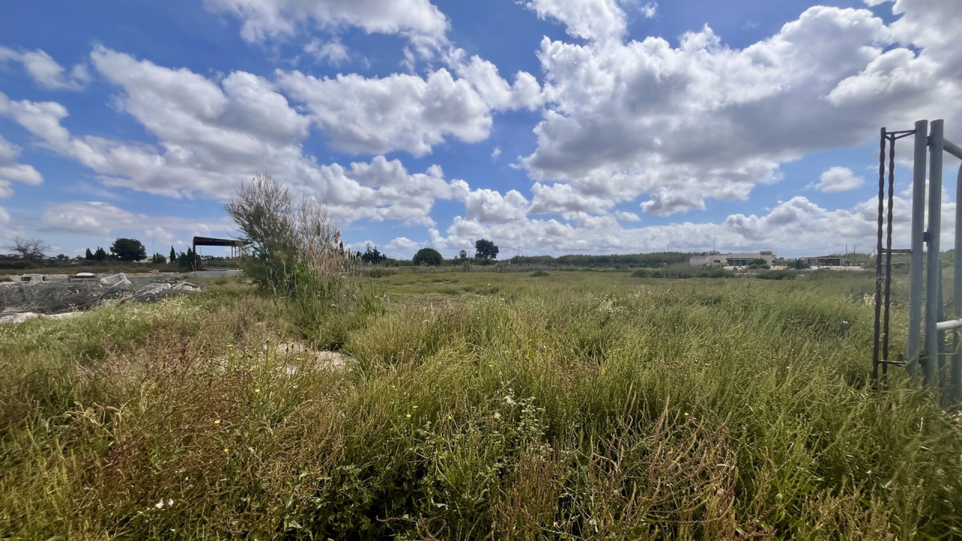 Venta - Parcela / Terreno - Catral