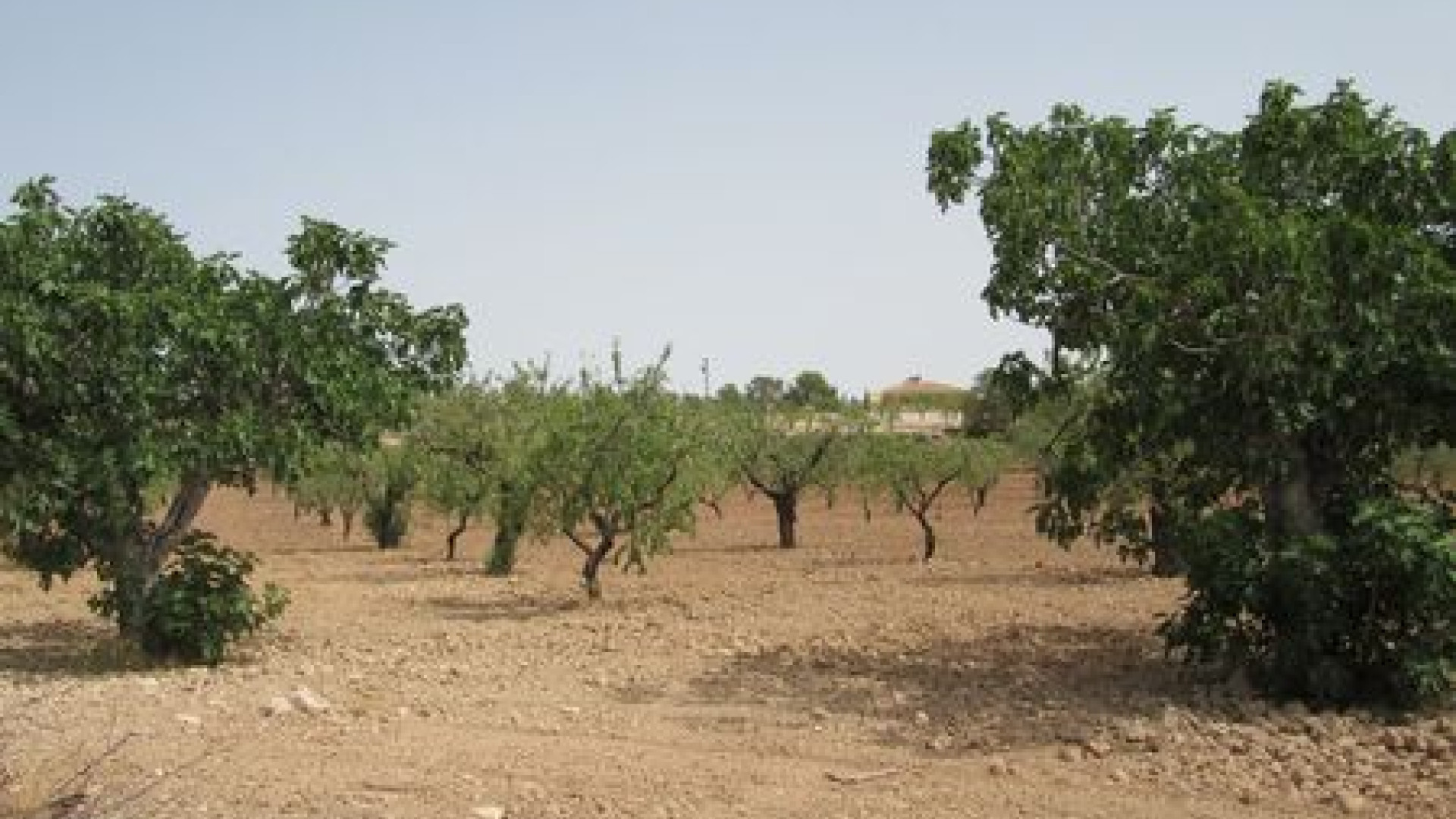 Venta - Parcela / Terreno - Murcia