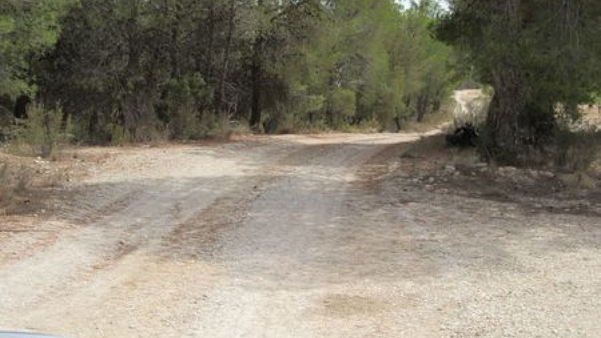 Venta - Parcela / Terreno - Murcia