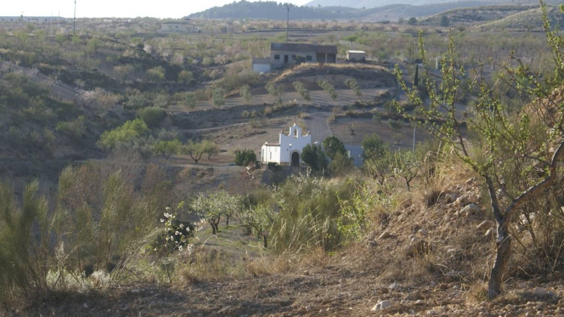 Venta - Parcela / Terreno - Murcia