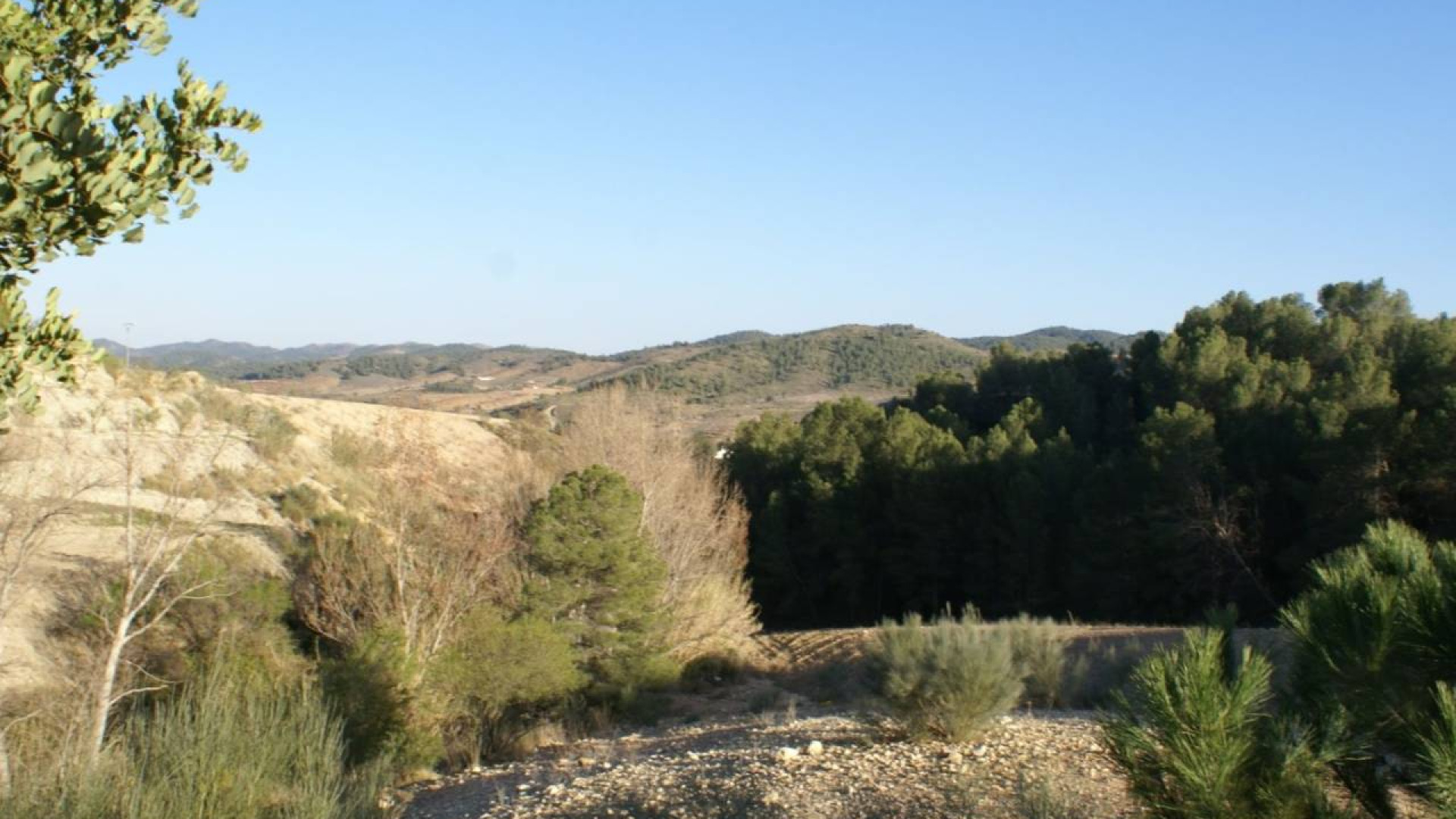 Venta - Parcela / Terreno - Murcia