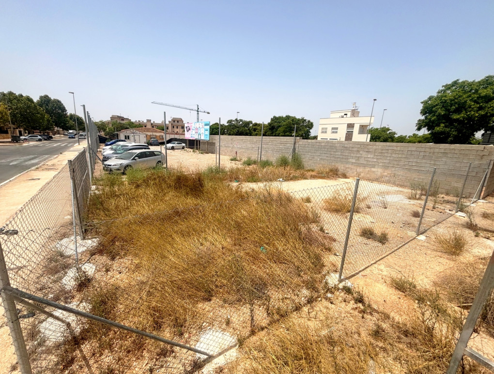 Venta - Parcela / Terreno - Pilar de La Horadada - Pilar de la Horadada