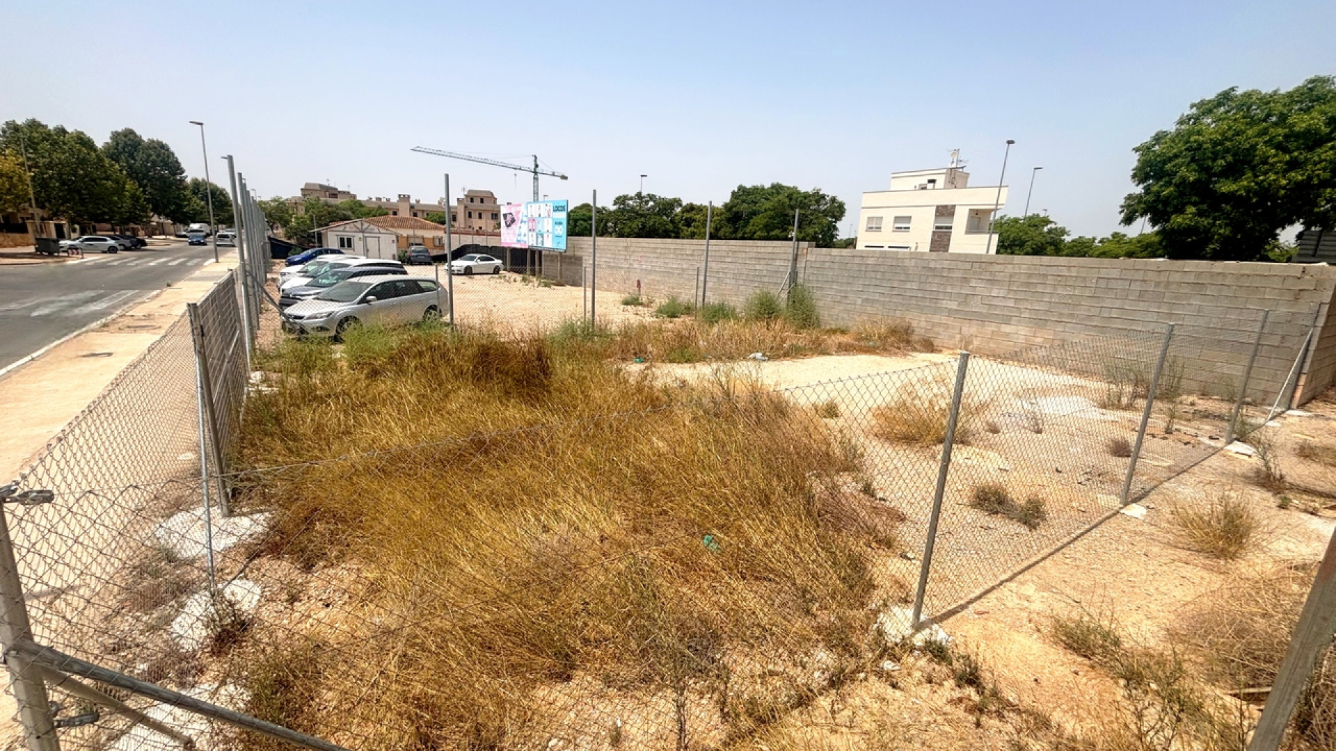 Venta - Parcela / Terreno - Pilar de La Horadada - Pilar de la Horadada