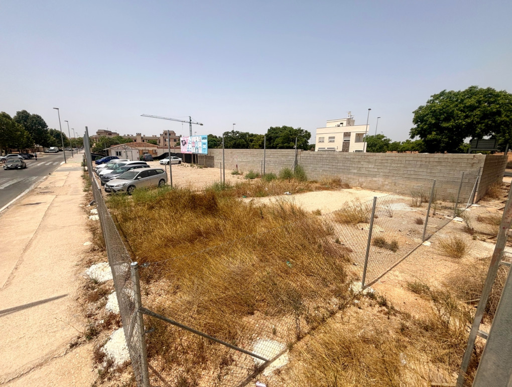 Venta - Parcela / Terreno - Pilar de La Horadada - Pilar de la Horadada
