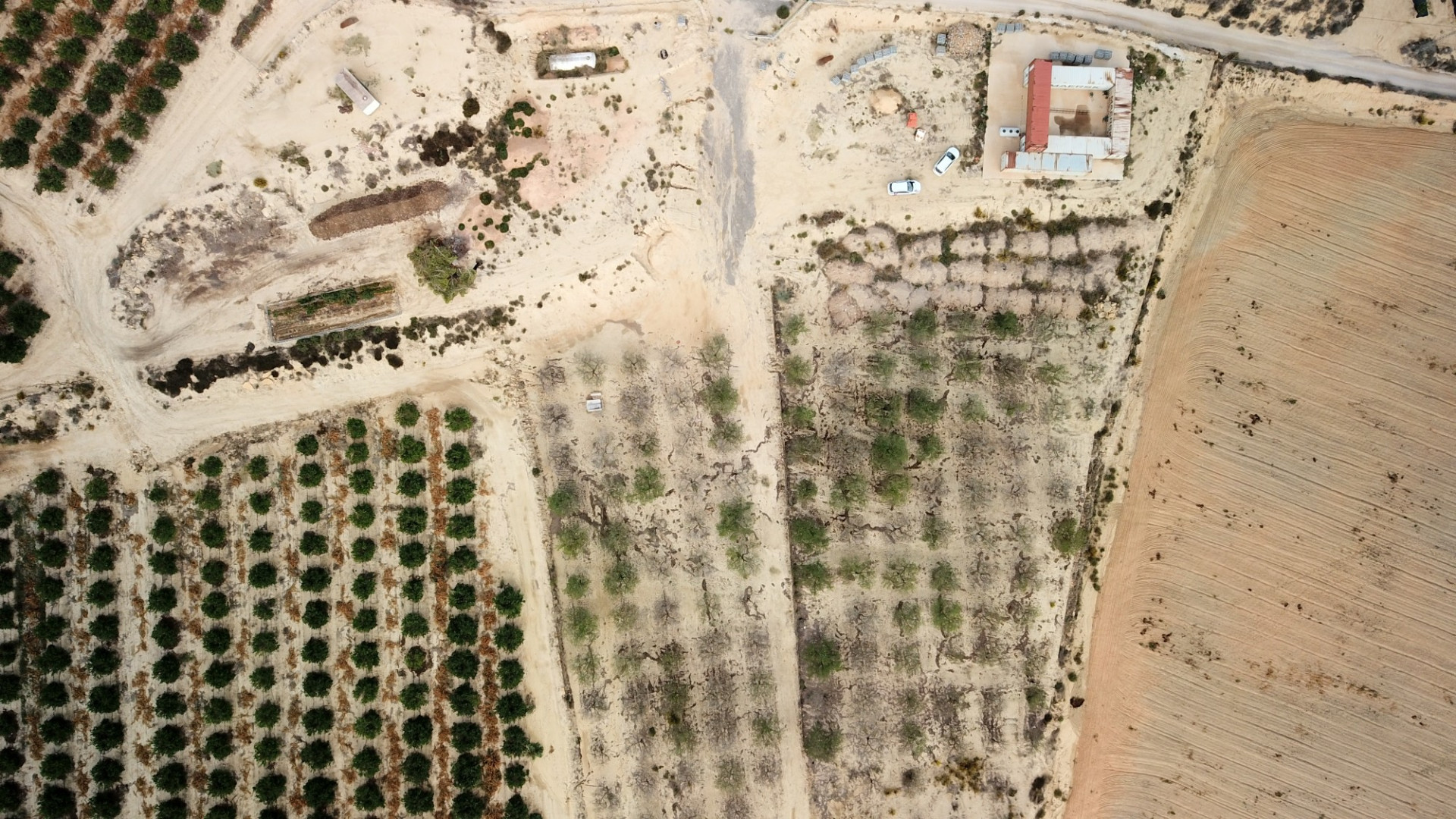 Venta - Parcela / Terreno - Torremendo - Torremendo - Country