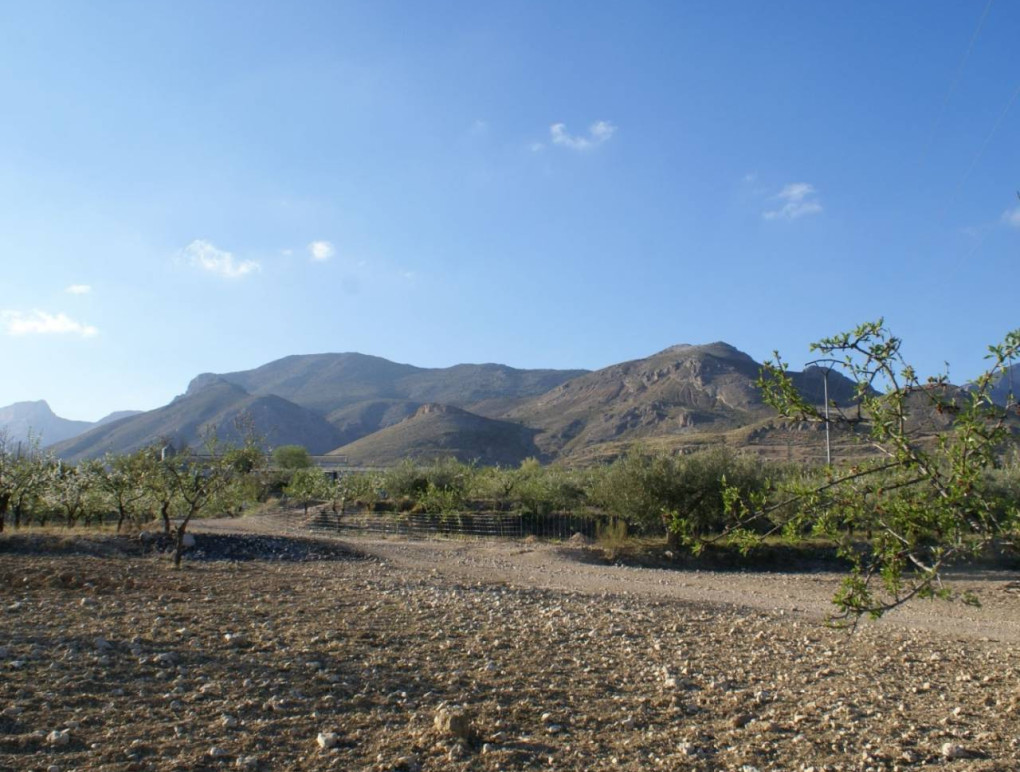 Venta - Plot of Land - Murcia