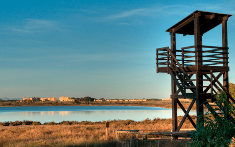 La Mata