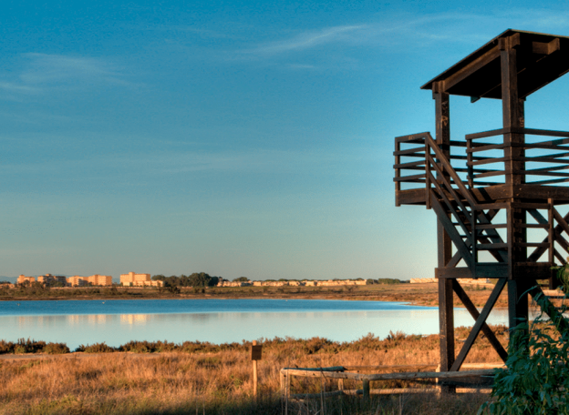 La Mata