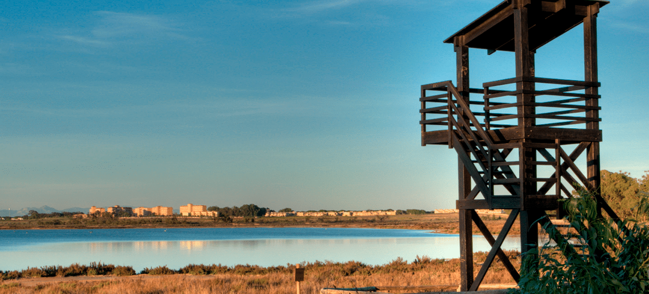 La Mata