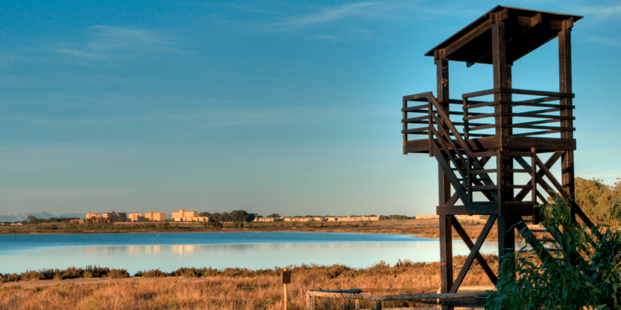 La Mata