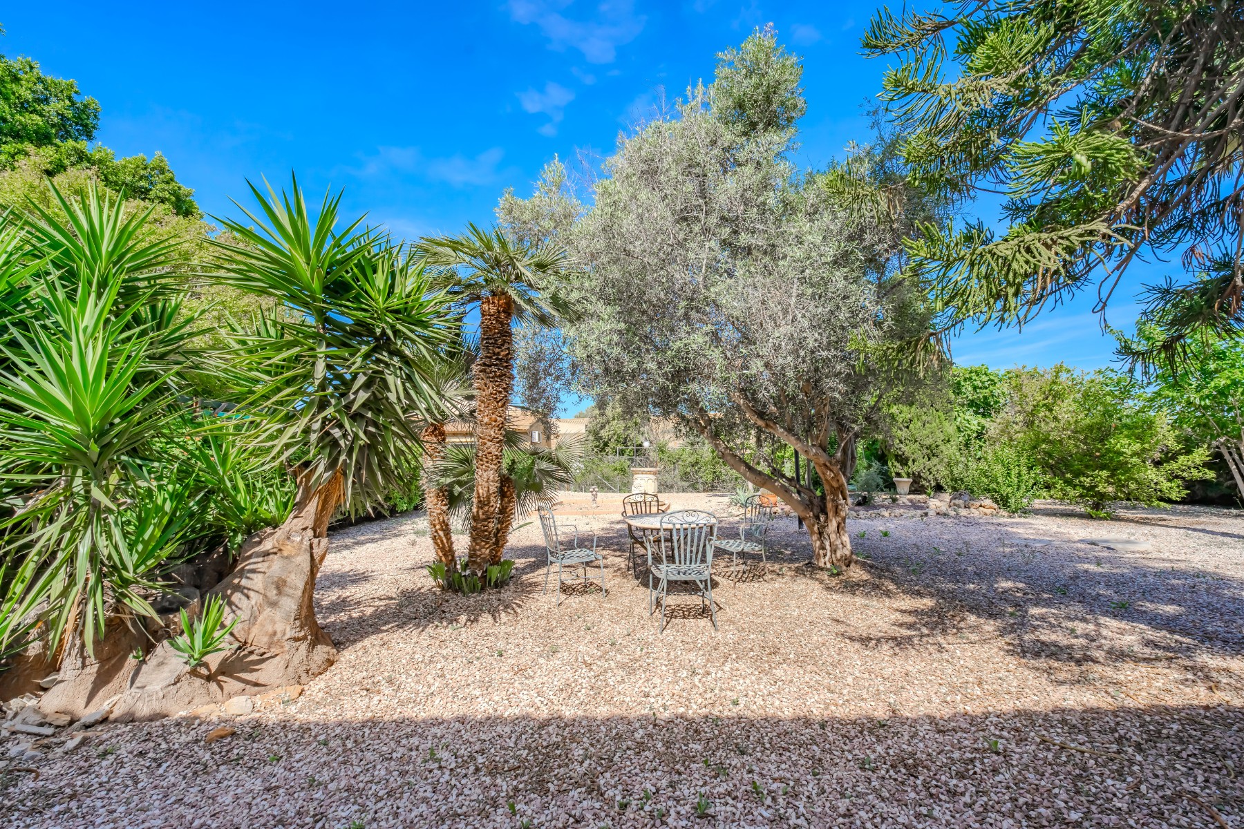 rural-plots en rojales · rojales 650000€