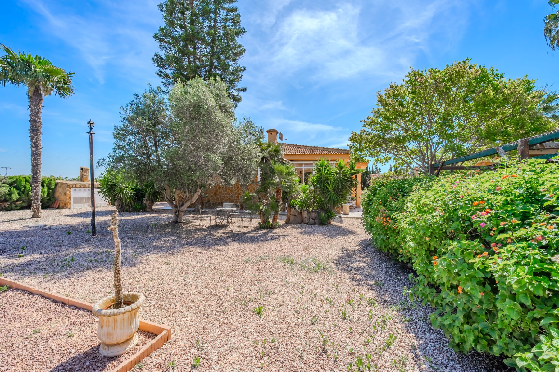 rural-plots en rojales · rojales 650000€