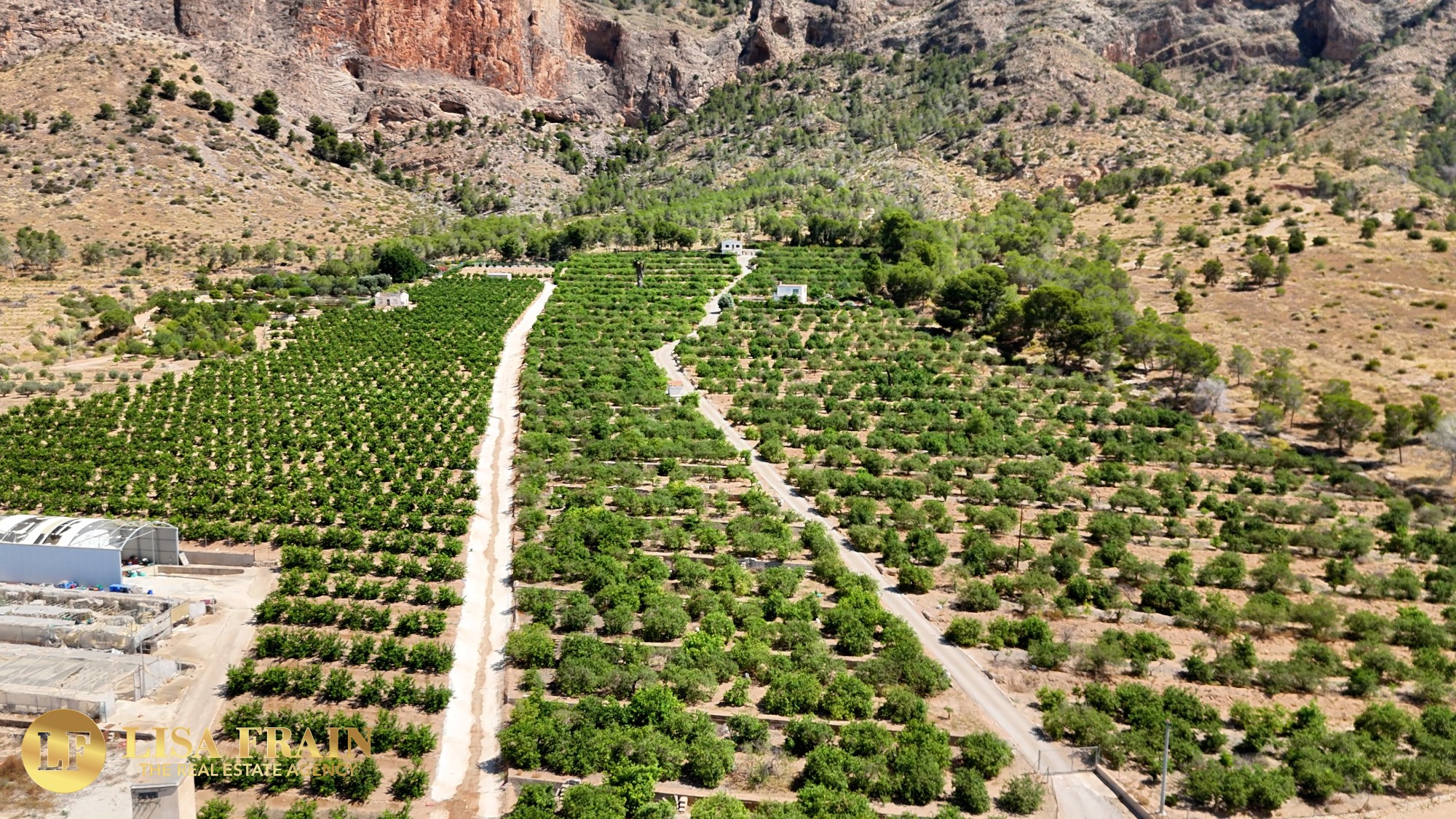 type-not-available(finca-country-property) en orihuela · orihuela 599000€