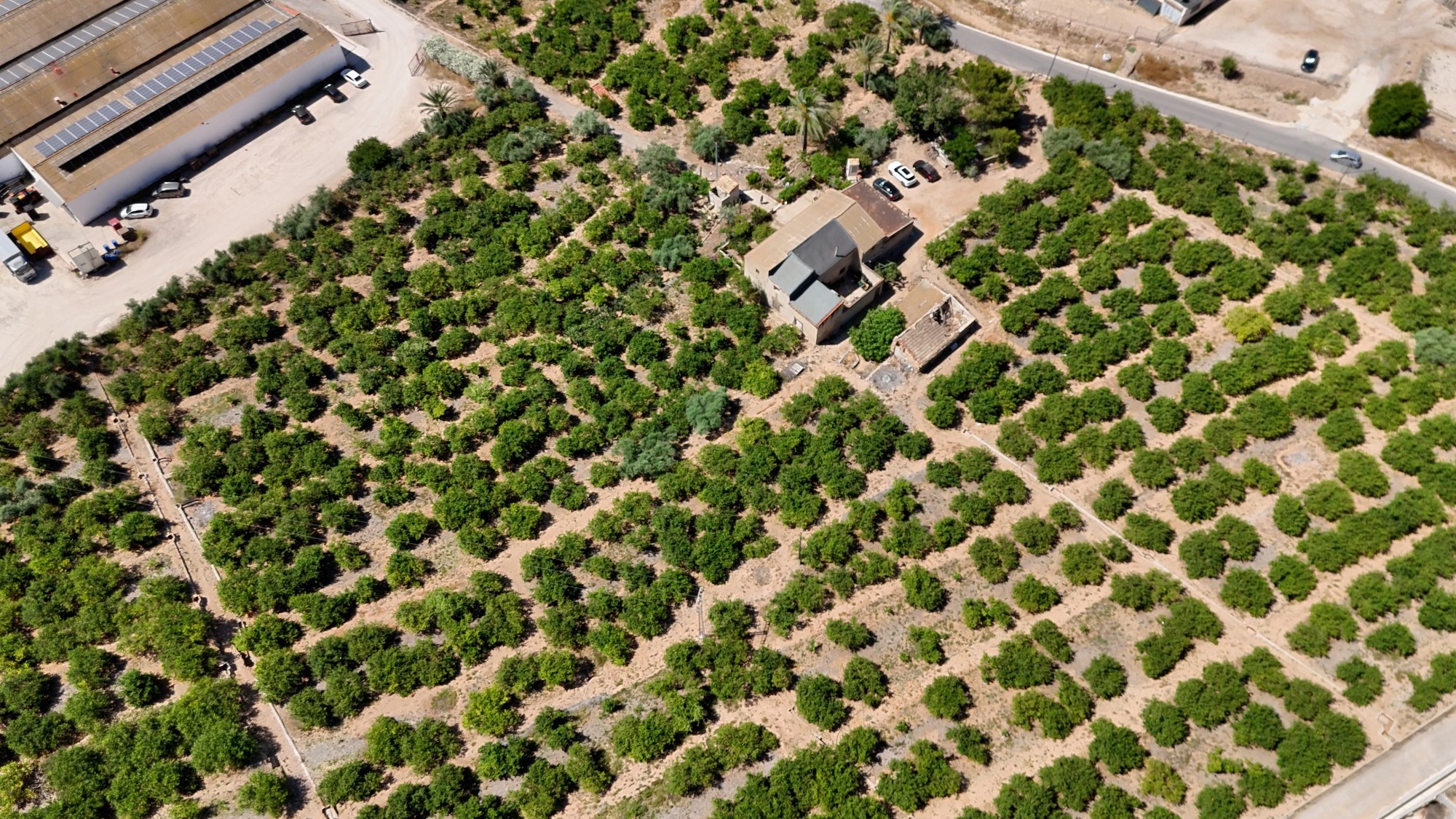 type-not-available(finca-country-property) en orihuela · orihuela 599000€