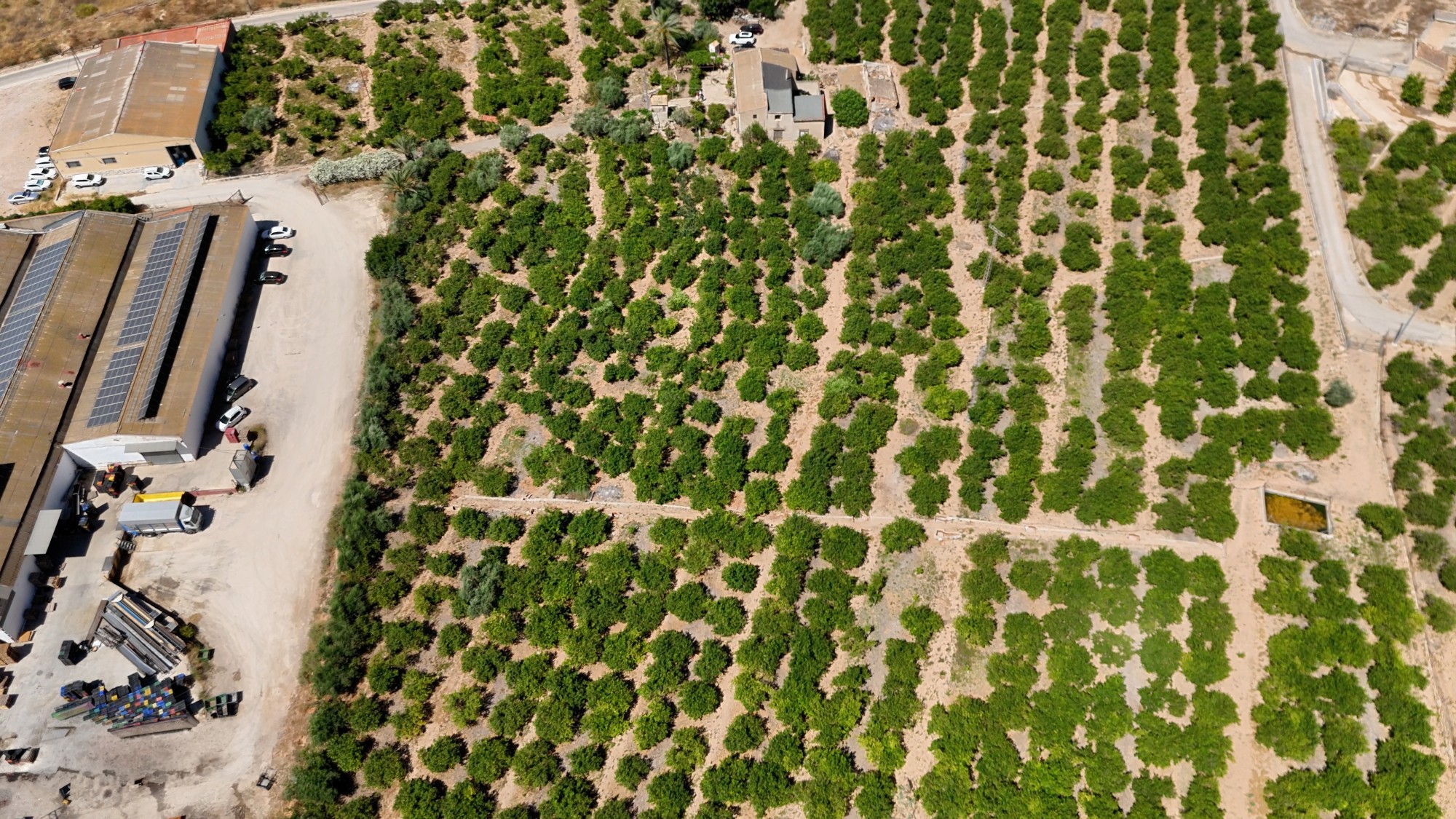 type-not-available(finca-country-property) en orihuela · orihuela 599000€