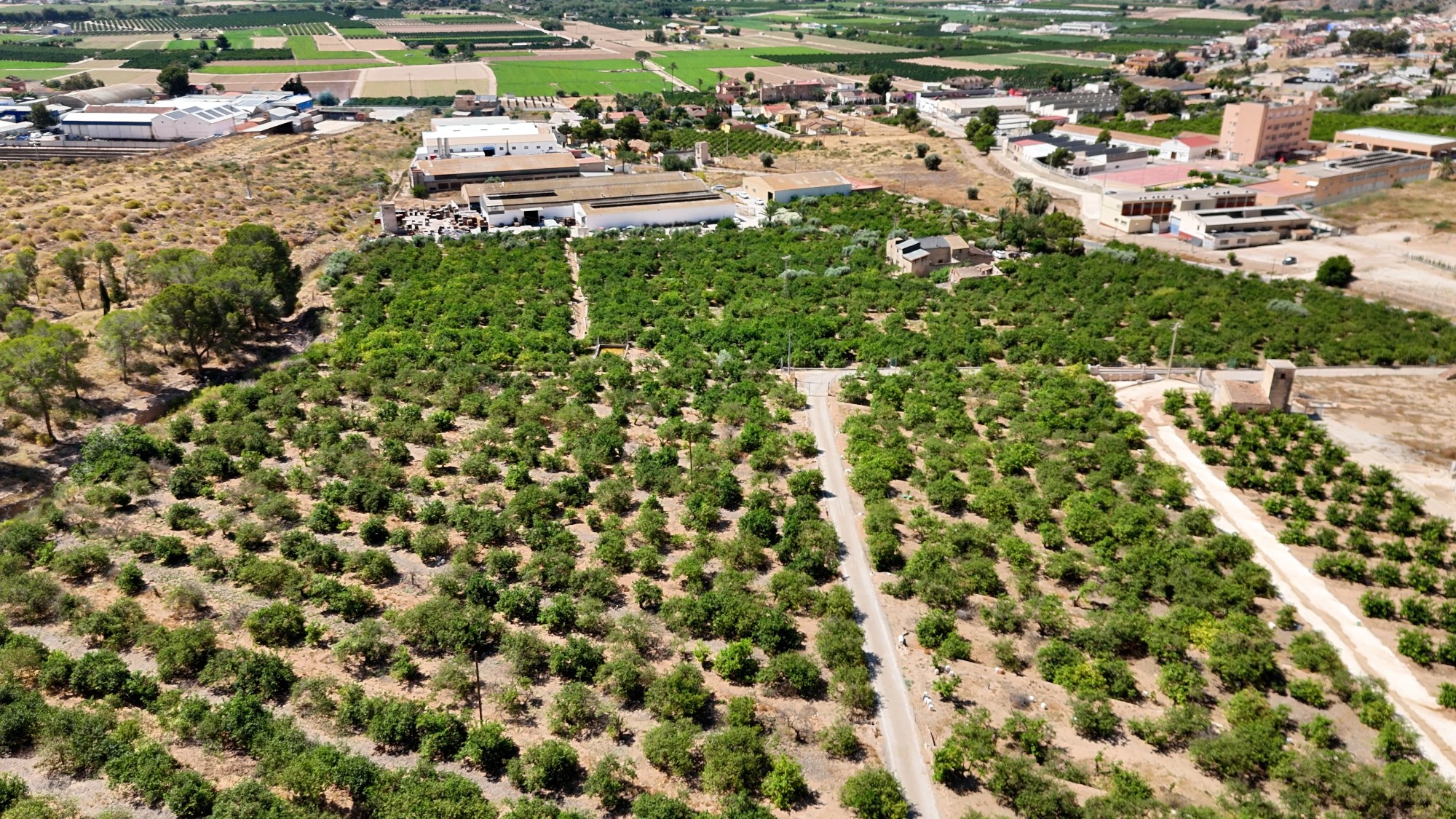 type-not-available(finca-country-property) en orihuela · orihuela 599000€