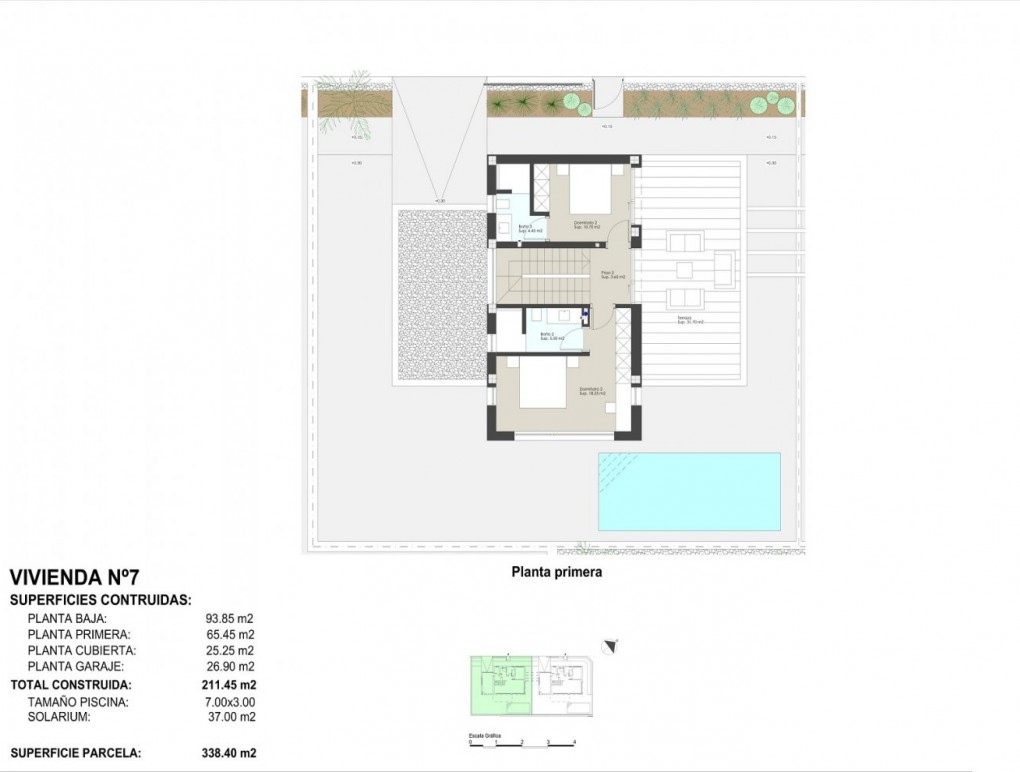 New Build - Detached Villa - Pilar de La Horadada - La Torre de la Horadada