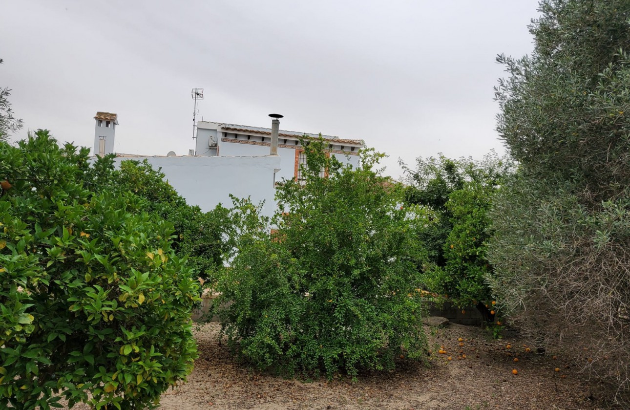 Resale - Country Property - Formentera del Segura - Formentera Del Segura