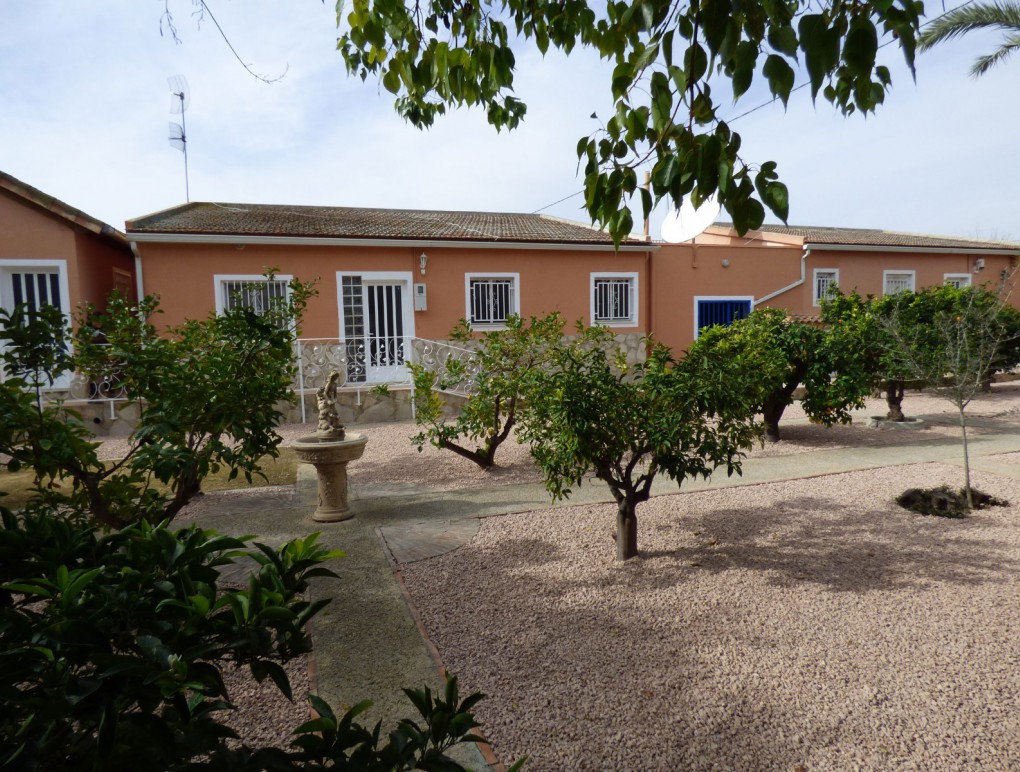 Venta - Country Property - Catral