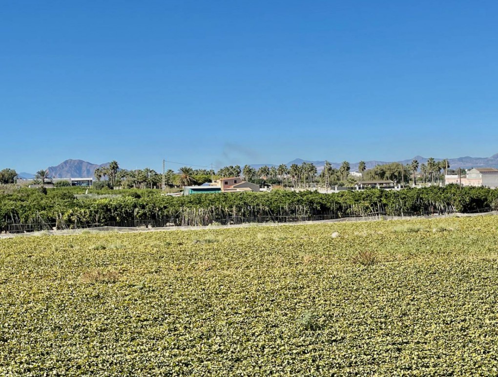 Revente - Detached Villa - Guardamar del Segura