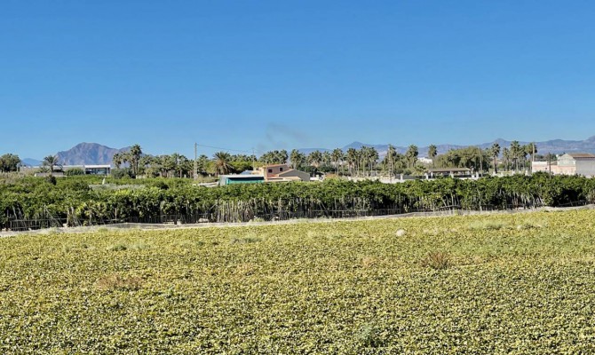 Revente - Detached Villa - Guardamar del Segura