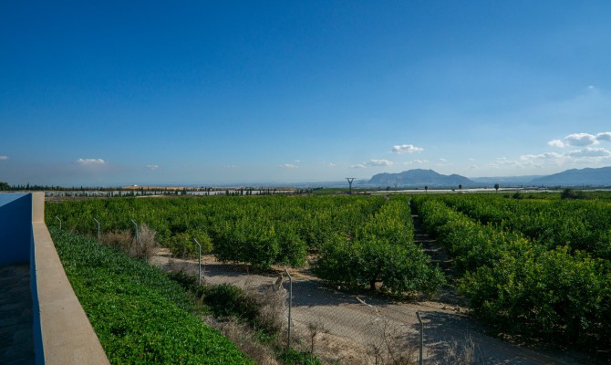 Revente - Country Property - La Murada