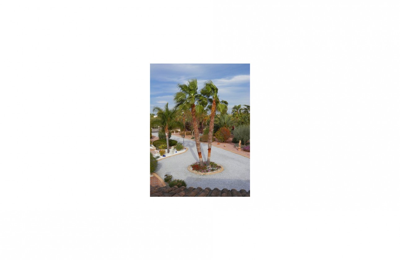 Revente - Country Property - Catral